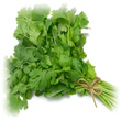 cilantro